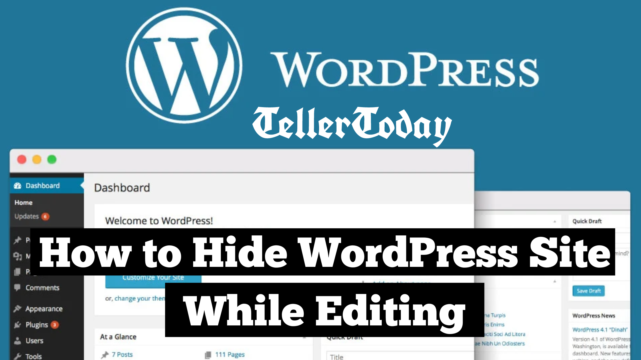 how-to-hide-wordpress-site-while-editing